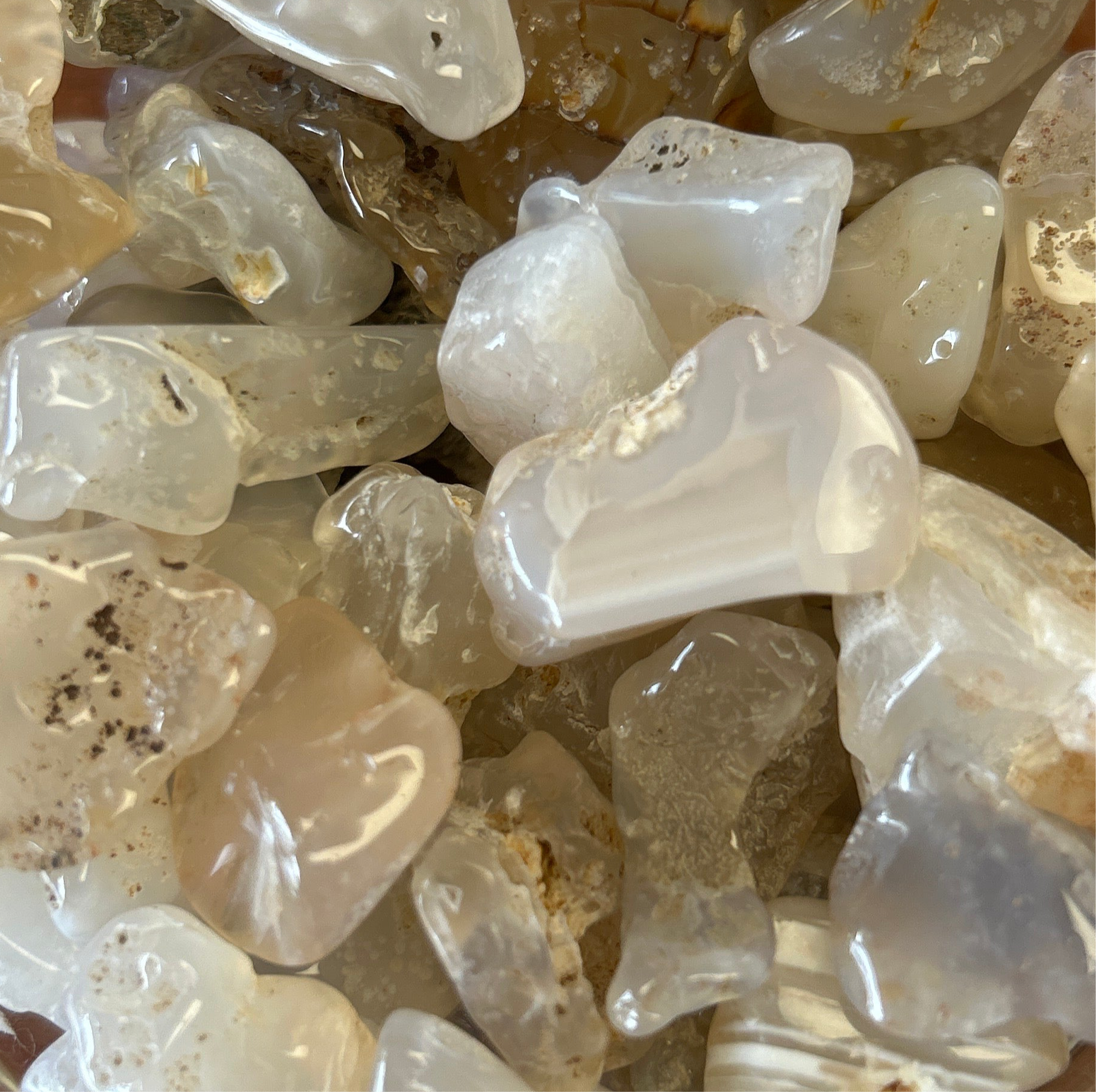 Colorado Agate Tumbles BLT